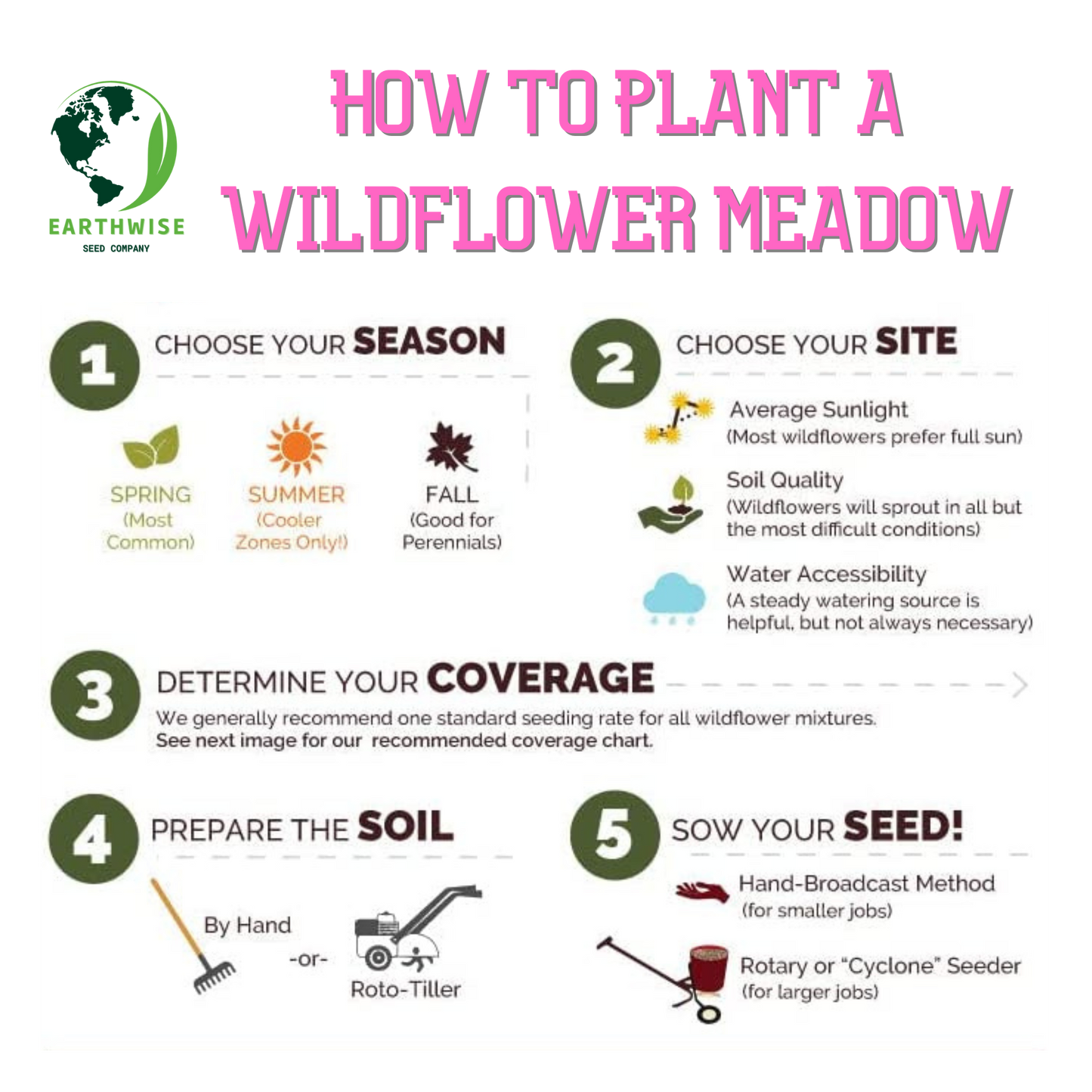 Lone Star Native Wildflower Mix - Bold Blooms. True Texas Roots.