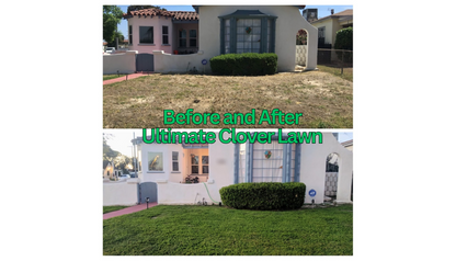 Ultimate Clover Lawn Mix: Low-Maintenance, Eco-Friendly Yard, MicroClover Lawn Seed
