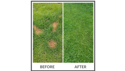 PetLawn™ Dog-Friendly Lawn Mix – Durable, Pet-Safe Grass & Clover Blend