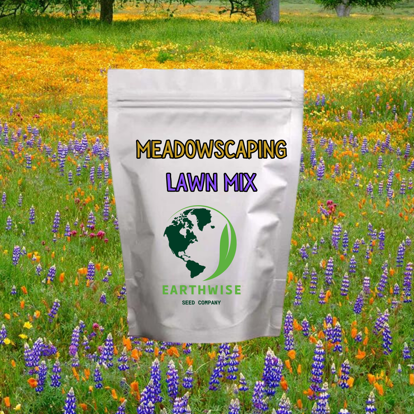 Meadowscaping Mix Alternative Lawn Seed — for Low-Maintenance, Eco-Friendly Lawns