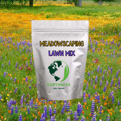 Meadowscaping Mix Alternative Lawn Seed — for Low-Maintenance, Eco-Friendly Lawns