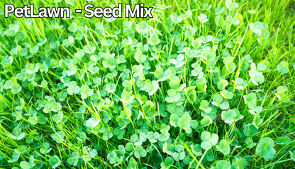 PetLawn™ Dog-Friendly Lawn Mix – Durable, Pet-Safe Grass & Clover Blend